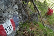 10 Rientrando alla Pianca, sul  Sentiero Partigiano 'Paganoni-Vitali' - CAI 131 